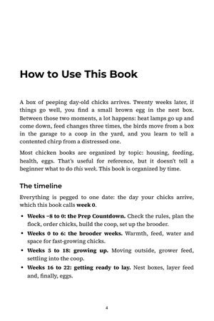 Page 4 of The First Flock Timeline